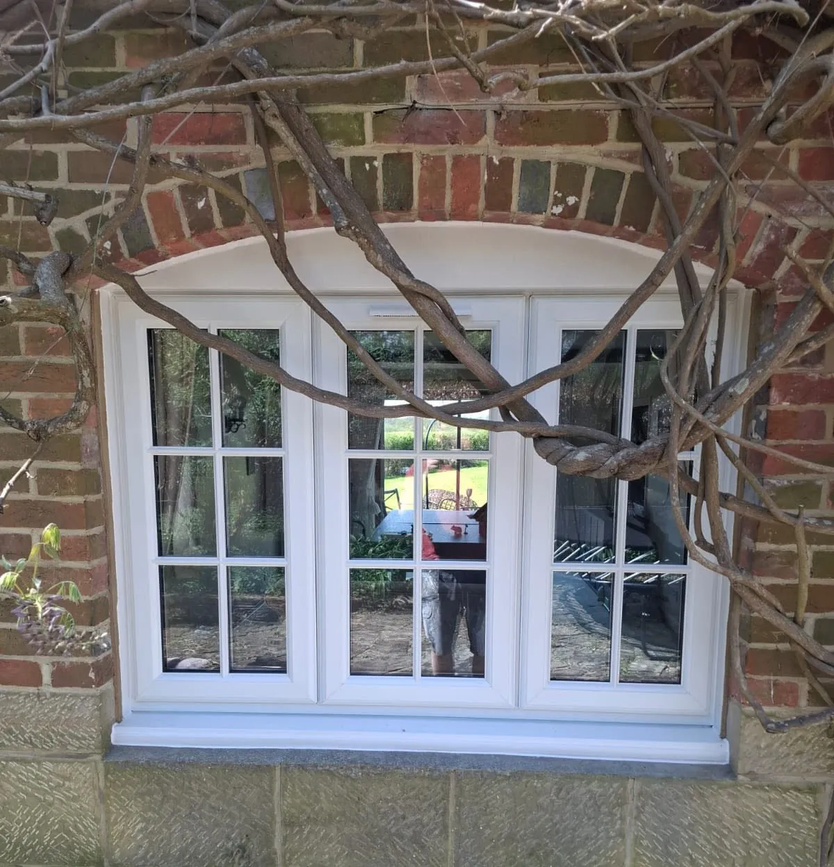 White window with Georgian bars in an arched brick opening, with a mature wisteria trained across it